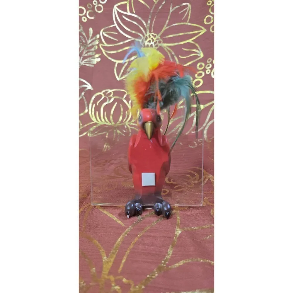 Rare Tropical Parrot 4x6 Picture Holder